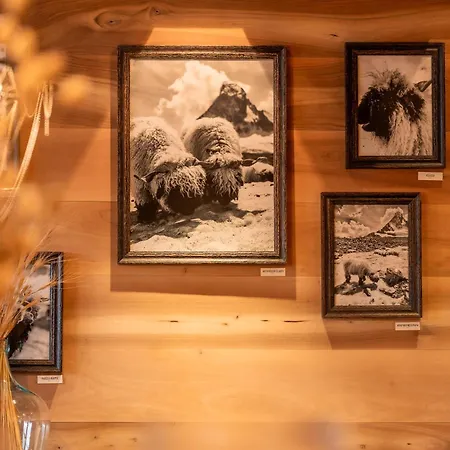 Sonnmatten Boutique Hotel&apartments 4*