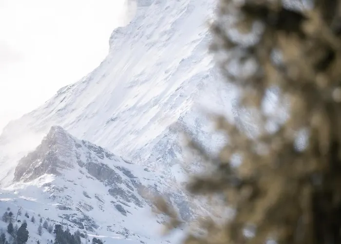 Sonnmatten Boutique & Szálloda Zermatt